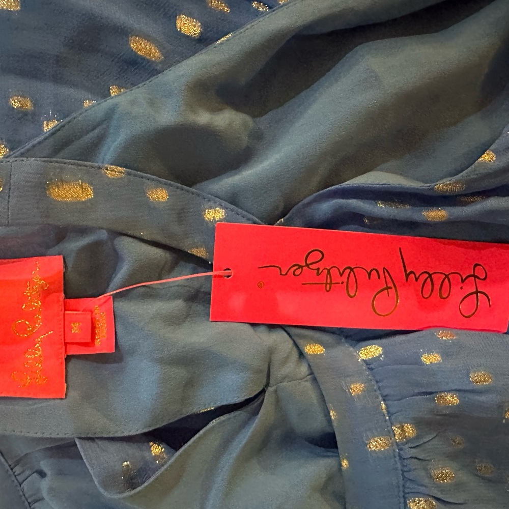 Lilly Pulitzer Blue Maxi Dress with Silver Accents - Picture 9 of 12